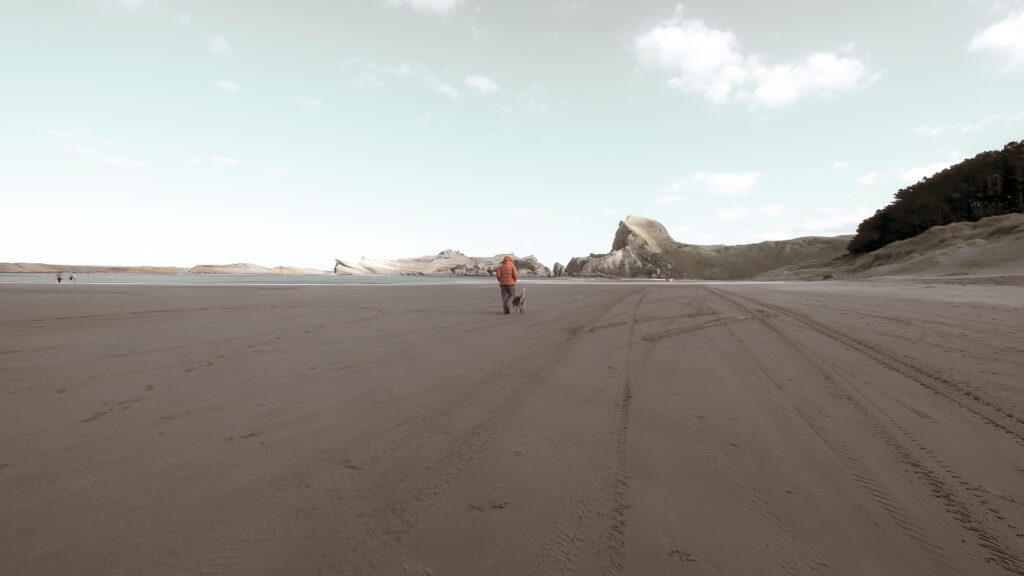 Person walking their dog on a sandy beach, an activity not possible for many members of Long Covid Support Aotearoa.